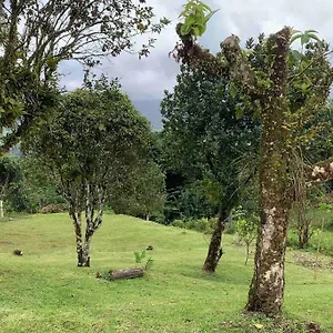 972b-coin De Verdure Au Pied De La Montagne Pelée Hébergement de vacances Le Morne-Rouge